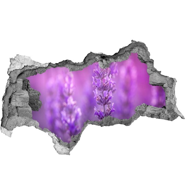 Lyuk 3d fali matrica Levendulavirág a reggeli fényben