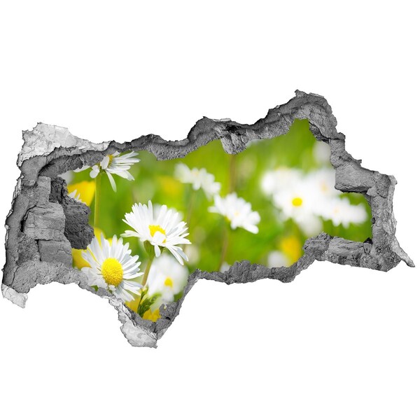 Lyuk 3d fali matrica Virágparadicsom a falak mögött