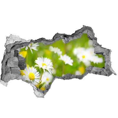 Lyuk 3d fali matrica Virágparadicsom a falak mögött