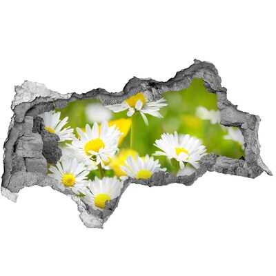 Lyuk 3d fali matrica Virágok a réten