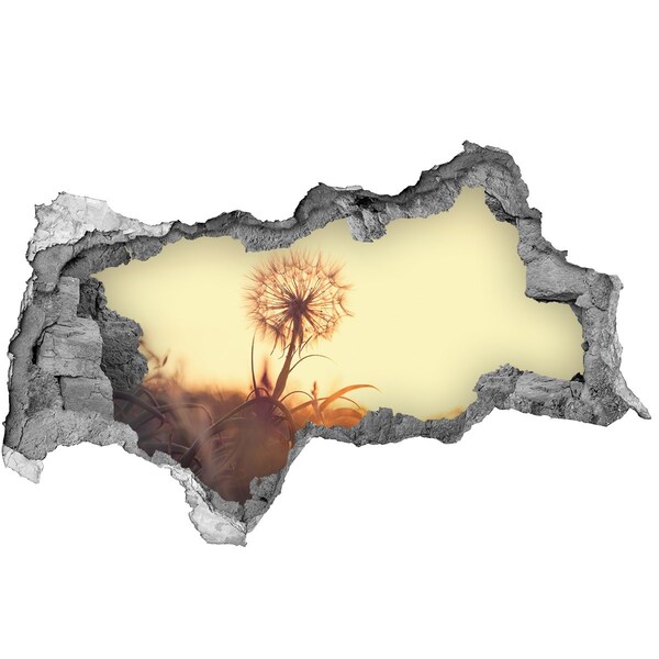 Lyuk 3d fali matrica Egy virág a nap sugaraiban