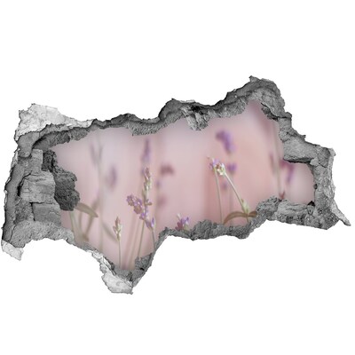 Lyuk 3d fali matrica Virágos rét a fal mögött