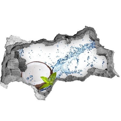 Lyuk 3d fali matrica És kókuszvíz