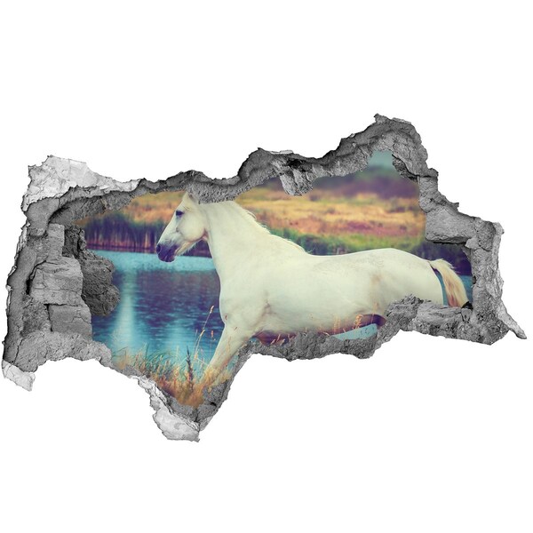 Lyuk 3d fali matrica White horse-tó