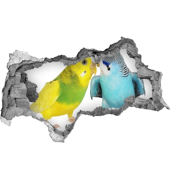 Lyuk 3d fali matrica Budgies