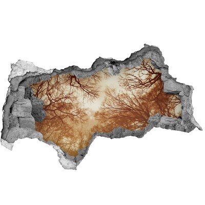 Lyuk 3d fali matrica Fák tükröződése egy romos falban