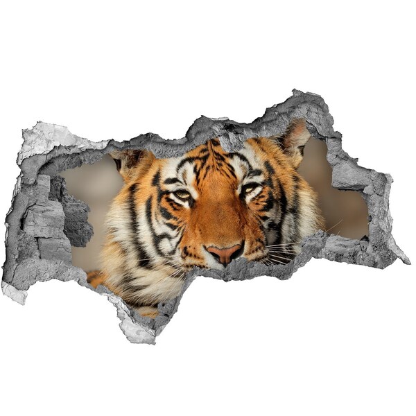 Lyuk 3d fali matrica Bengáli tigris