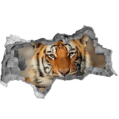 Lyuk 3d fali matrica Bengáli tigris