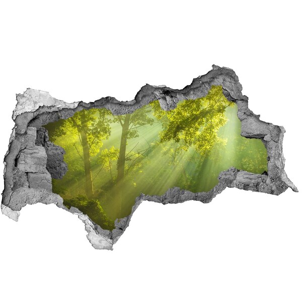 Lyuk 3d fali matrica Zöld erdő napsugarakkal