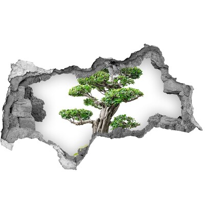 Lyuk 3d fali matrica Bonsai egy lyukban a falban