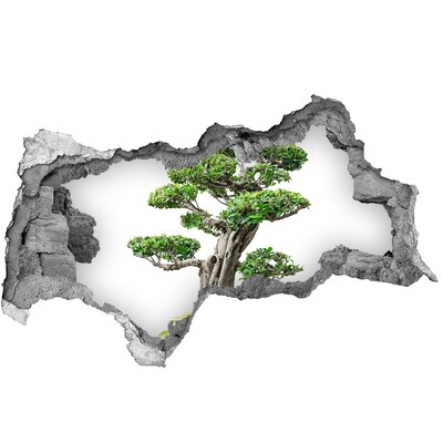 Lyuk 3d fali matrica Bonsai fa