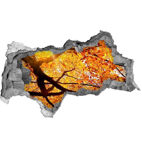 Lyuk 3d fali matrica Aranyló ősz a fal mögött