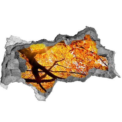 Lyuk 3d fali matrica Aranyló ősz a fal mögött
