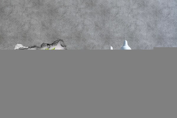 Lyuk 3d fali matrica Virágparadicsom a fal mögött