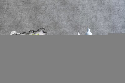 Lyuk 3d fali matrica Virágparadicsom a fal mögött