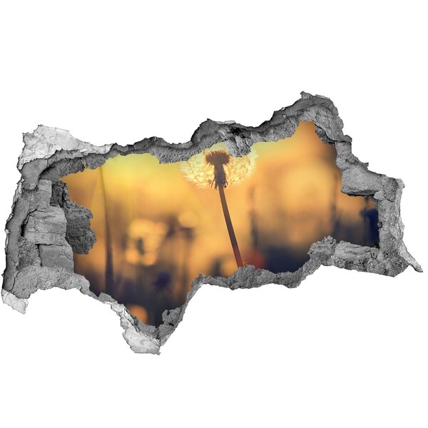 Lyuk 3d fali matrica Pitypangvirág a nap sugaraiban