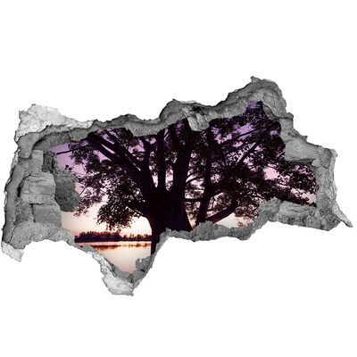 Lyuk 3d fali matrica Naplemente a fa mögött