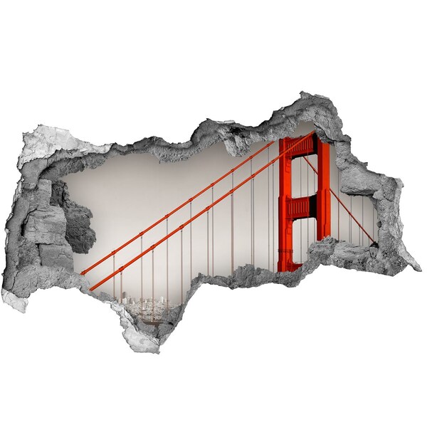 Lyuk 3d fali matrica Bridge san francisco