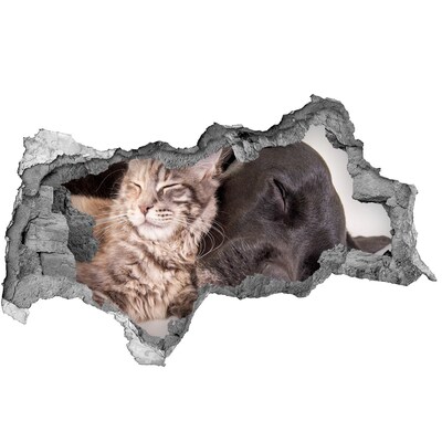 Lyuk 3d fali matrica Egy édes pillanat a barátságból