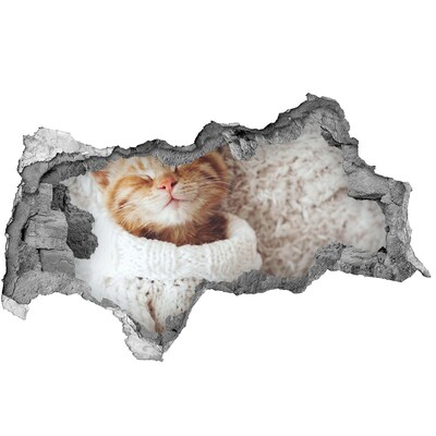 Lyuk 3d fali matrica Aranyos macska pulóverben