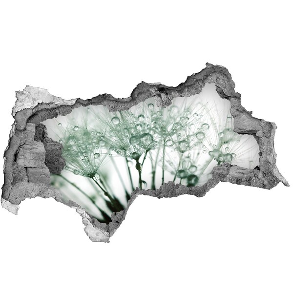 Lyuk 3d fali matrica Virágos álom a fal mögött
