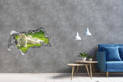 Lyuk 3d fali matrica Fehér oroszlán természetes élőhelyén