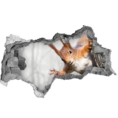 3d-s lyukat fali matrica Mókus akcióban