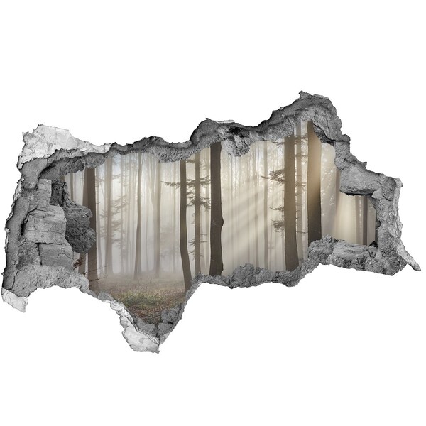 3d-s lyukat fali matrica Ködös erdő a reggeli fényben