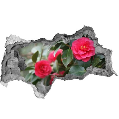 3d-s lyukat fali matrica Virágoskert betonban