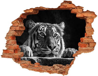 3d fali matrica lyuk a falban Tigris