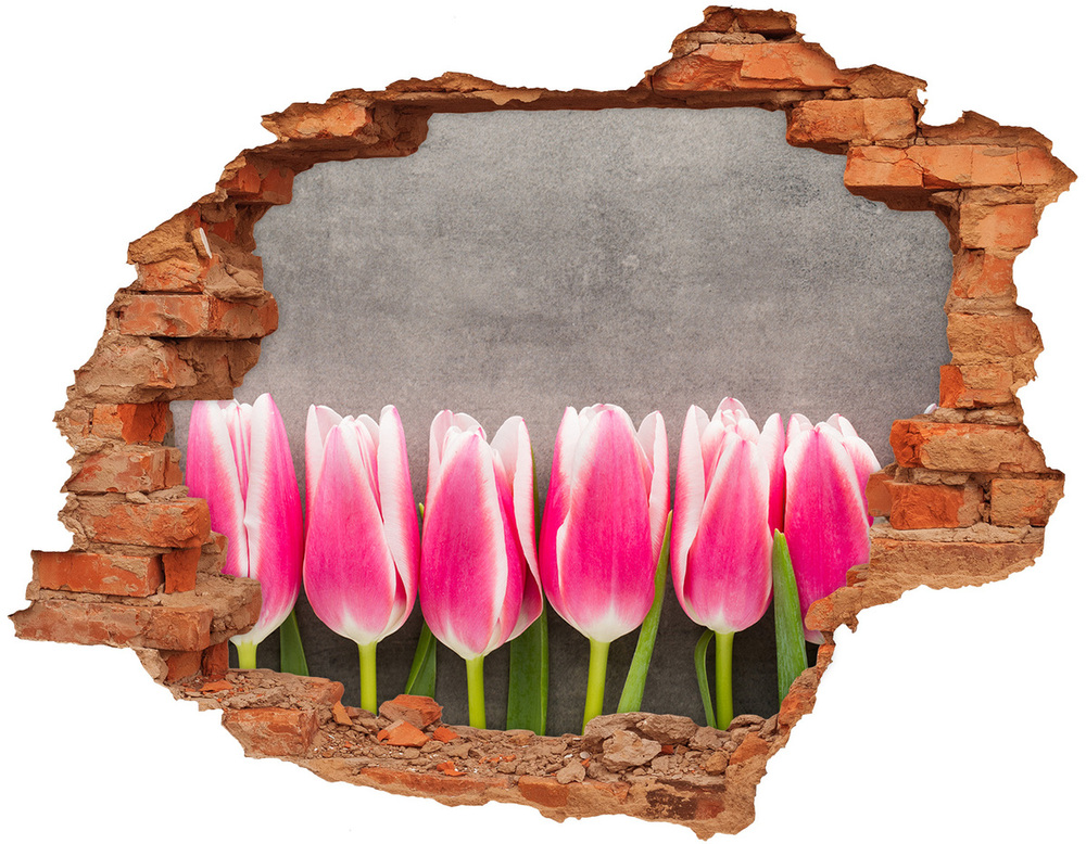3d fali matrica lyuk a falban Rózsaszín tulipánok