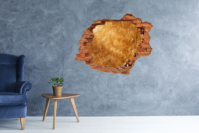 3d fali matrica lyuk a falban Aranylyuk a falban