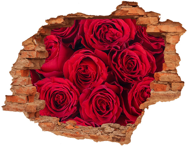 3d fali matrica lyuk a falban Roses