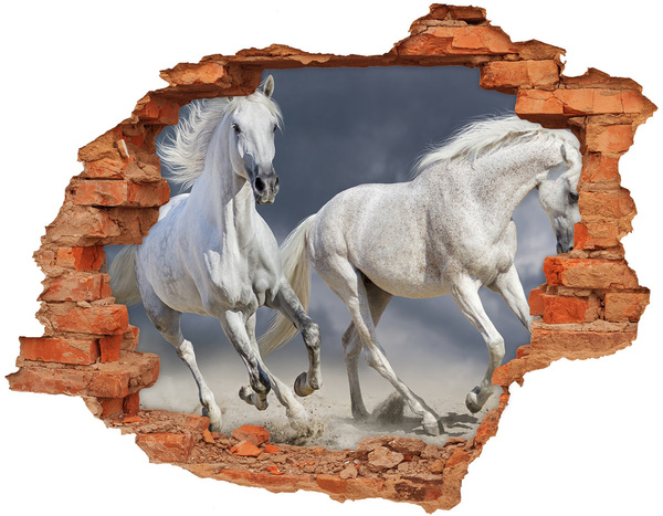 3d fali matrica lyuk a falban White horse beach