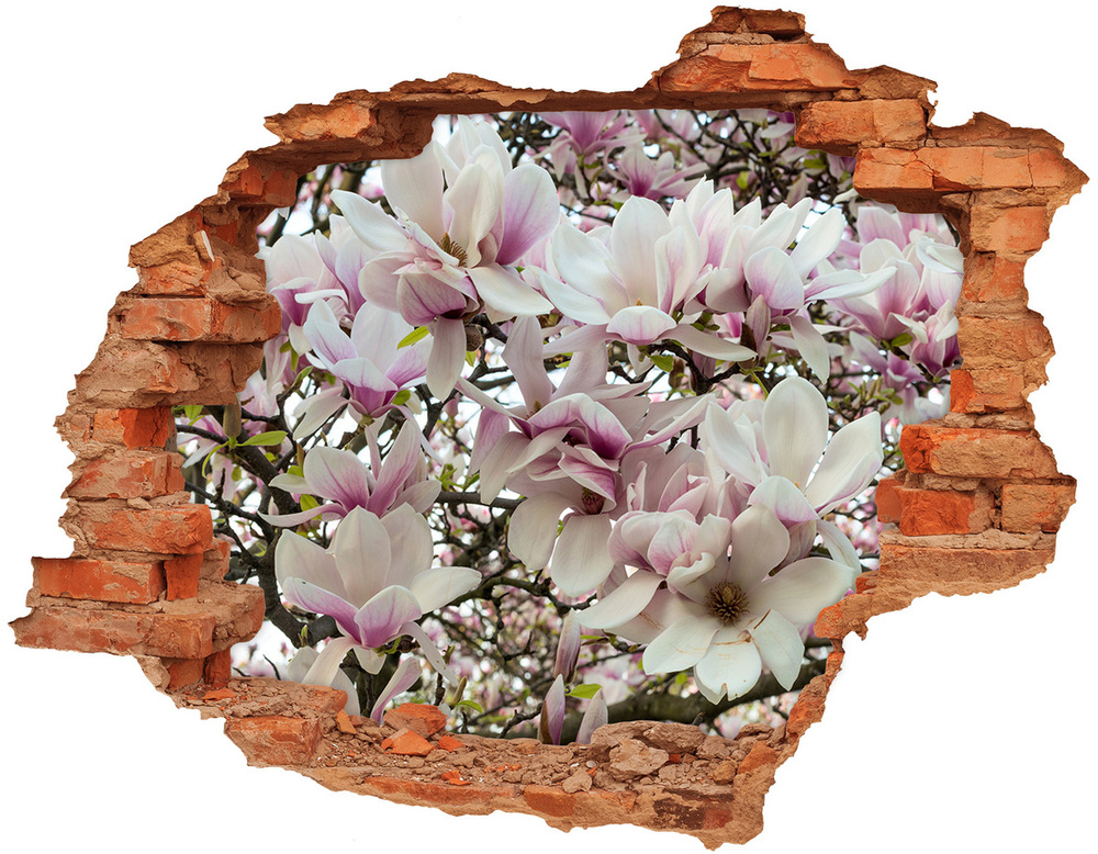 3d fali matrica lyuk a falban Magnólia virágok