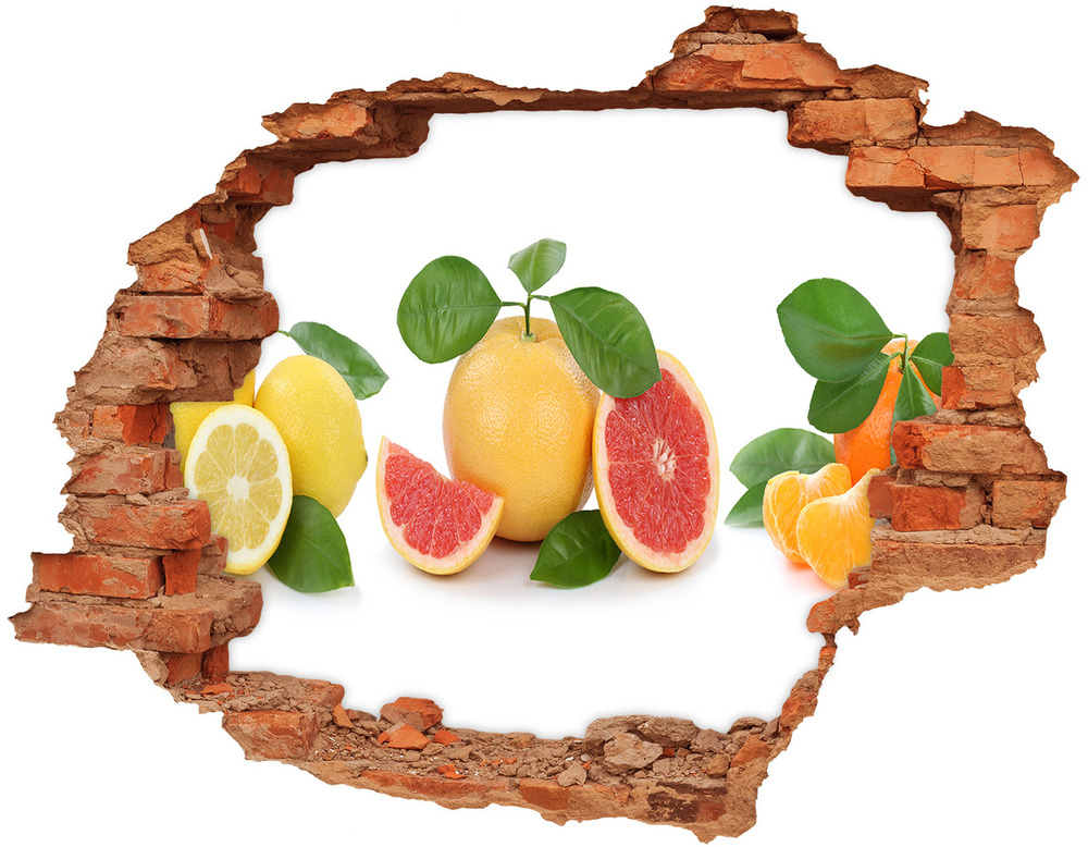 3d fali matrica lyuk a falban Citrusfélék