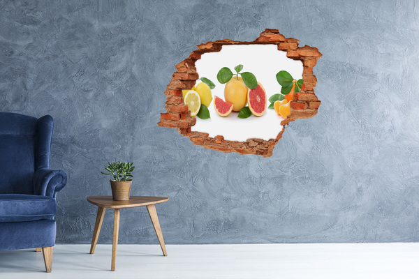 3d fali matrica lyuk a falban Citrusfélék