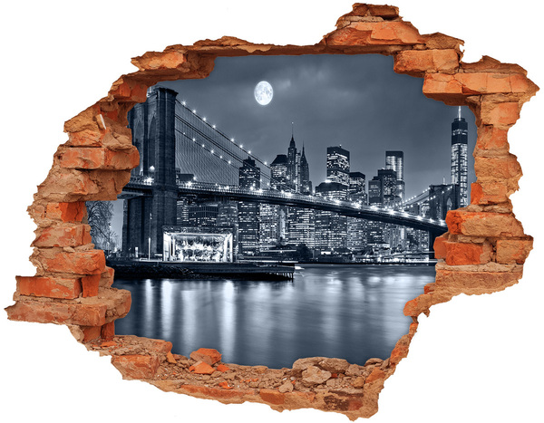 3d fali matrica lyuk a falban Manhattan new york city