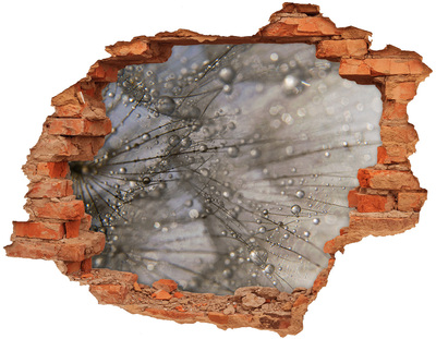 3d fali matrica lyuk a falban Vízcseppek az üvegen