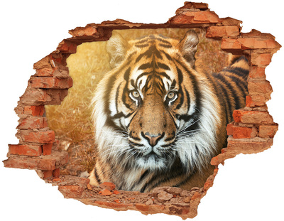 3d fali matrica lyuk a falban Bengáli tigris