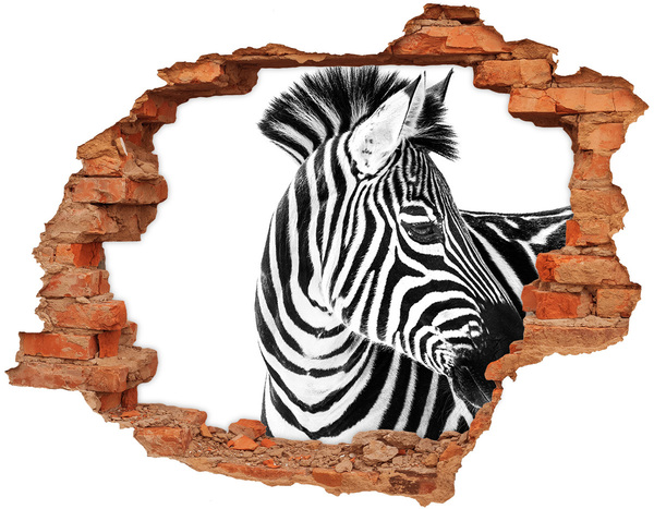 Lyuk 3d fali matrica Zebra egy lyukban a falban