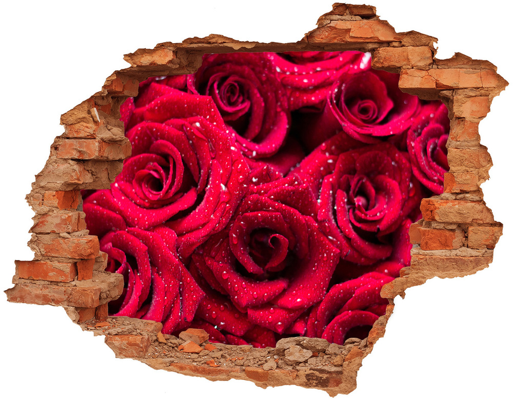 Lyuk 3d fali matrica Csepp rózsák