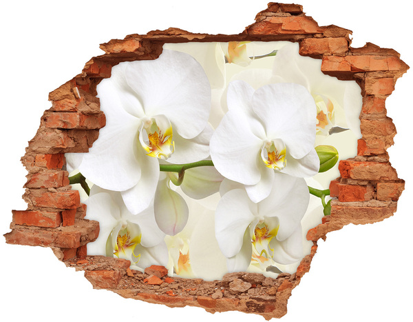 Lyuk 3d fali matrica Orchidea