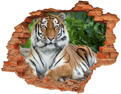 Lyuk 3d fali matrica Tigris természetes élőhelyén