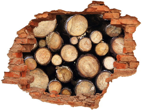 Lyuk 3d fali matrica Fa a falban lévő lyukban