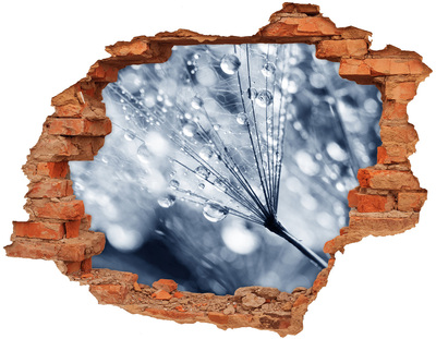 Lyuk 3d fali matrica Harmatcseppek a pitypangon