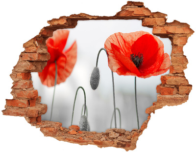 Lyuk 3d fali matrica Virágok egy lyukban a falban