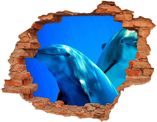 Lyuk 3d fali matrica Két delfin