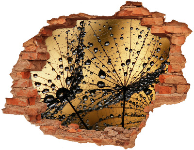 Lyuk 3d fali matrica Cseppek a leveleken