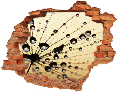 Lyuk 3d fali matrica Vízcseppek egy pillangó szárnyán